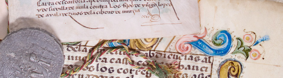 archivo general fundacion casa medina sidonia ejecutoria granada fajardo casa velez